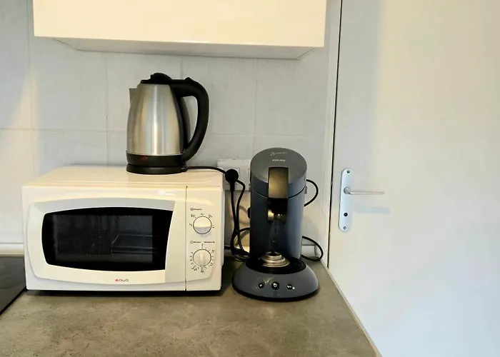 L'atelier-t2 Proche Du Centre-wifi-parking * ルルド